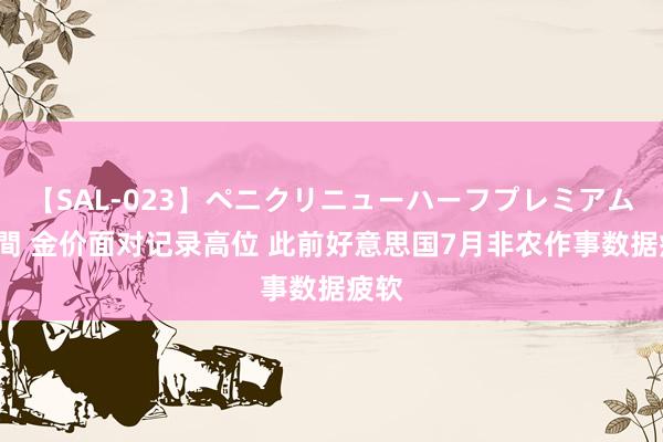 【SAL-023】ペニクリニューハーフプレミアム4時間 金价面对记录高位 此前好意思国7月非农作事数据疲软