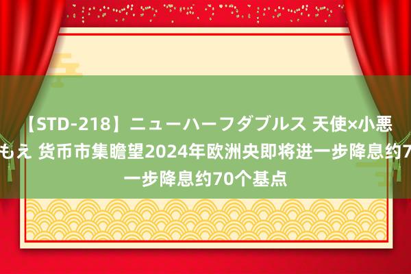 【STD-218】ニューハーフダブルス 天使×小悪魔 沙織 もえ 货币市集瞻望2024年欧洲央即将进一步降息约70个基点