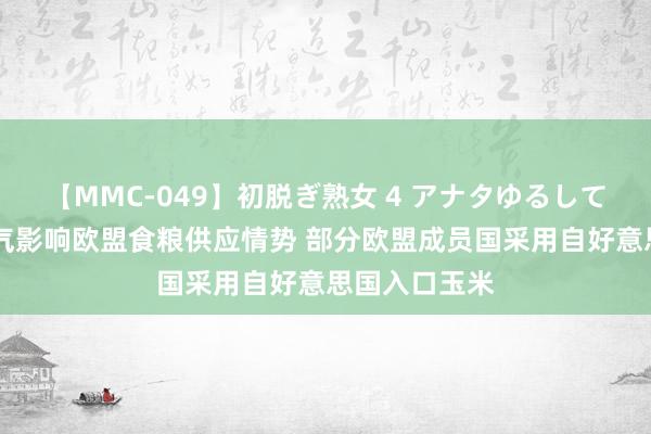 【MMC-049】初脱ぎ熟女 4 アナタゆるして 东欧高温天气影响欧盟食粮供应情势 部分欧盟成员国采用自好意思国入口玉米