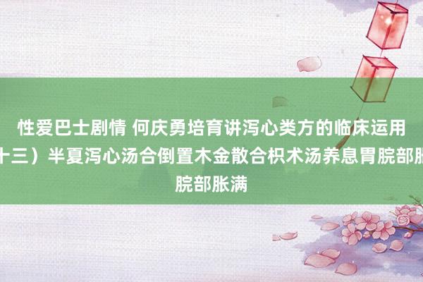 性爱巴士剧情 何庆勇培育讲泻心类方的临床运用（十三）半夏泻心汤合倒置木金散合枳术汤养息胃脘部胀满