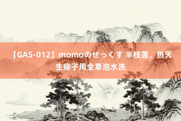 【GAS-012】momoのせっくす 半枝莲，热天生痱子用全草泡水洗