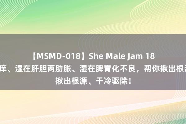 【MSMD-018】She Male Jam 18 湿鄙人焦阴瘙痒、湿在肝胆两肋胀、湿在脾胃化不良，帮你揪出根源、干冷驱除！