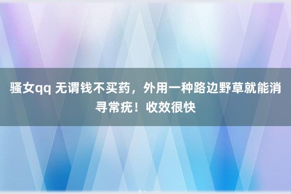 骚女qq 无谓钱不买药，外用一种路边野草就能消寻常疣！收效很快