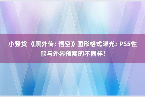 小骚货 《黑外传: 悟空》图形格式曝光: PS5性能与外界预期的不同样!