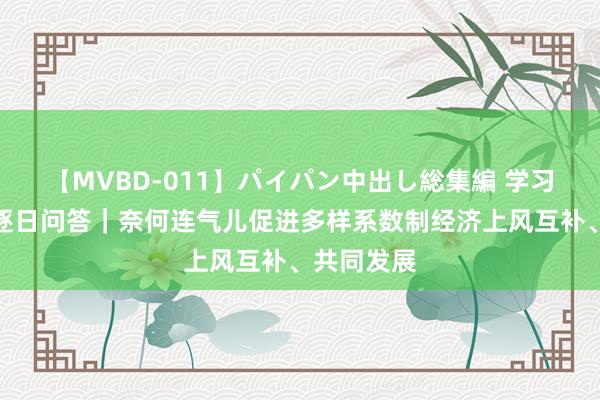 【MVBD-011】パイパン中出し総集編 学习《决定》逐日问答｜奈何连气儿促进多样系数制经济上风互补、共同发展