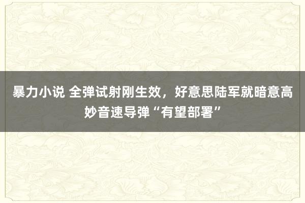 暴力小说 全弹试射刚生效，好意思陆军就暗意高妙音速导弹“有望部署”