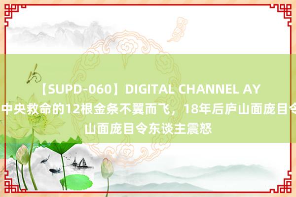 【SUPD-060】DIGITAL CHANNEL AYA 1931年，中央救命的12根金条不翼而飞，18年后庐山面庞目令东谈主震怒