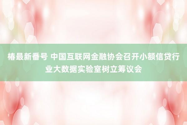 椿最新番号 中国互联网金融协会召开小额信贷行业大数据实验室树立筹议会