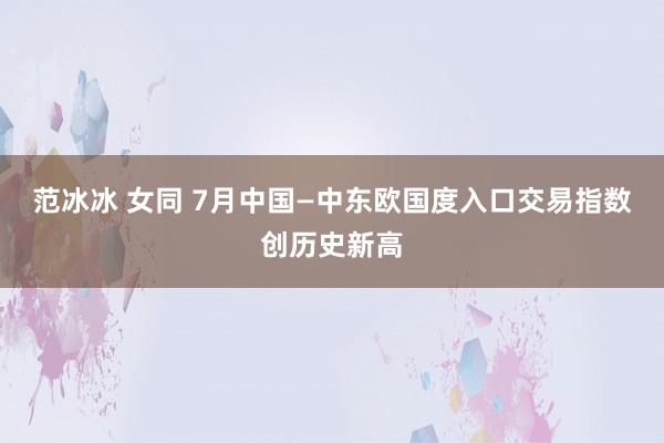 范冰冰 女同 7月中国—中东欧国度入口交易指数创历史新高