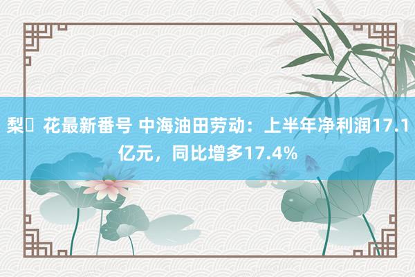 梨々花最新番号 中海油田劳动：上半年净利润17.1亿元，同比增多17.4%