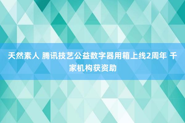 天然素人 腾讯技艺公益数字器用箱上线2周年 千家机构获资助