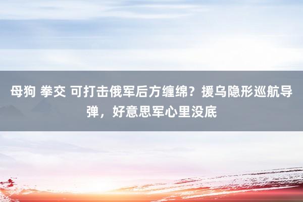 母狗 拳交 可打击俄军后方缠绵？援乌隐形巡航导弹，好意思军心里没底