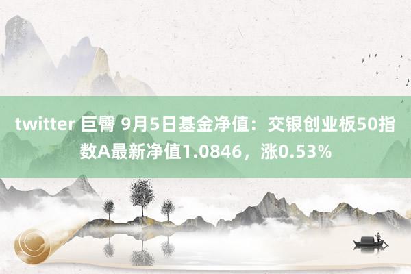 twitter 巨臀 9月5日基金净值：交银创业板50指数A最新净值1.0846，涨0.53%