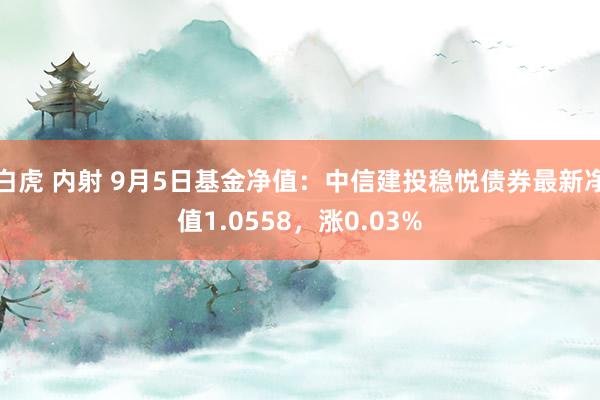 白虎 内射 9月5日基金净值：中信建投稳悦债券最新净值1.0558，涨0.03%