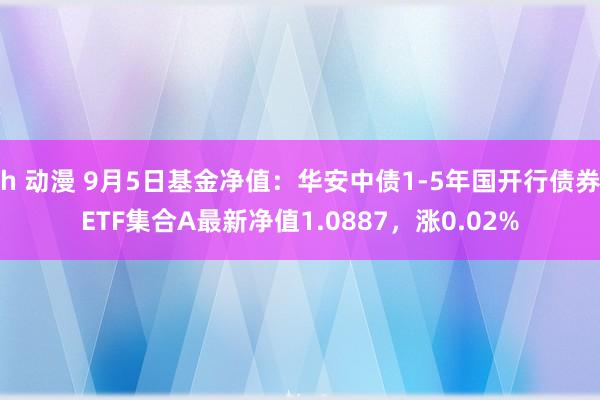 h 动漫 9月5日基金净值：华安中债1-5年国开行债券ETF集合A最新净值1.0887，涨0.02%