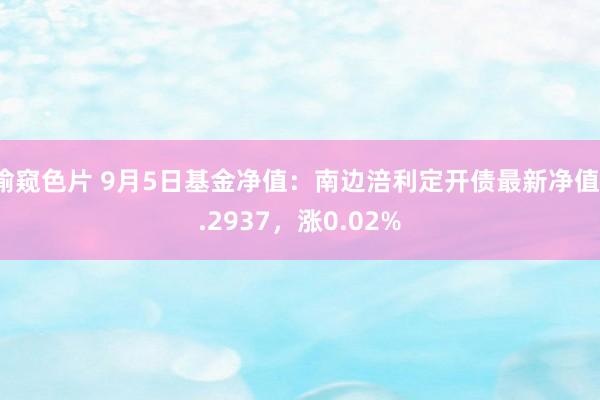 偷窥色片 9月5日基金净值：南边涪利定开债最新净值1.2937，涨0.02%