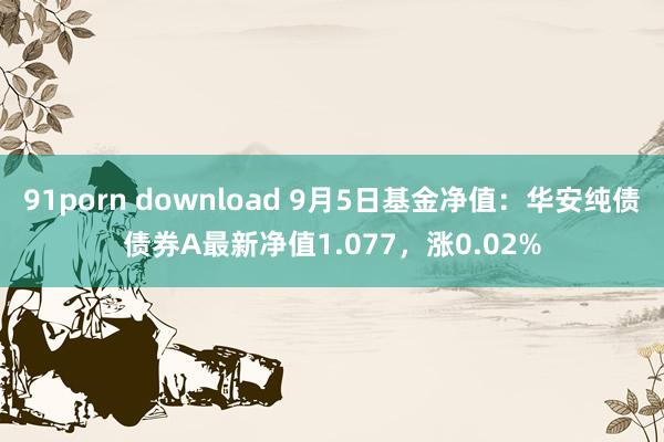 91porn download 9月5日基金净值：华安纯债债券A最新净值1.077，涨0.02%