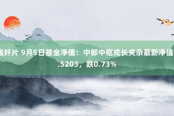 强奸片 9月5日基金净值：中邮中枢成长夹杂最新净值0.5203，跌0.73%