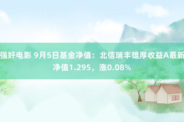 强奸电影 9月5日基金净值：北信瑞丰雄厚收益A最新净值1.295，涨0.08%