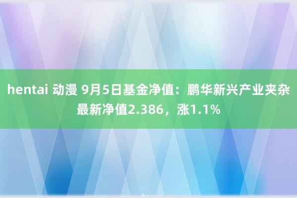 hentai 动漫 9月5日基金净值：鹏华新兴产业夹杂最新净值2.386，涨1.1%