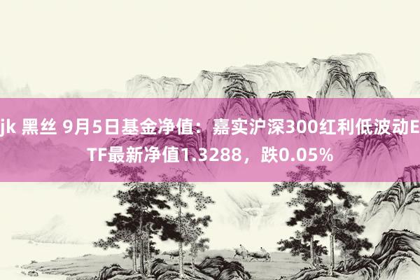 jk 黑丝 9月5日基金净值：嘉实沪深300红利低波动ETF最新净值1.3288，跌0.05%