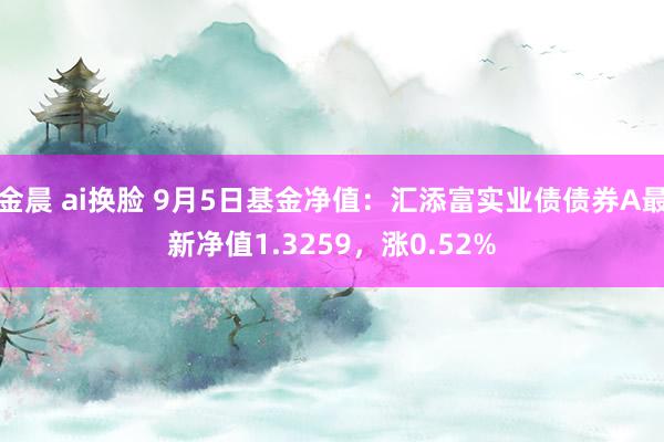 金晨 ai换脸 9月5日基金净值：汇添富实业债债券A最新净值1.3259，涨0.52%