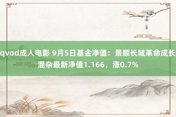 qvod成人电影 9月5日基金净值：景顺长城革命成长混杂最新净值1.166，涨0.7%