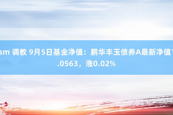 sm 调教 9月5日基金净值：鹏华丰玉债券A最新净值1.0563，涨0.02%