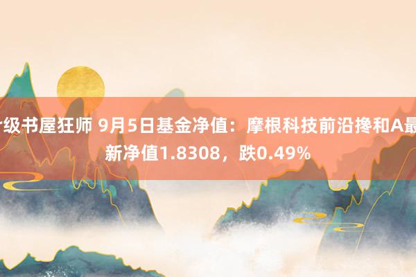 r级书屋狂师 9月5日基金净值：摩根科技前沿搀和A最新净值1.8308，跌0.49%