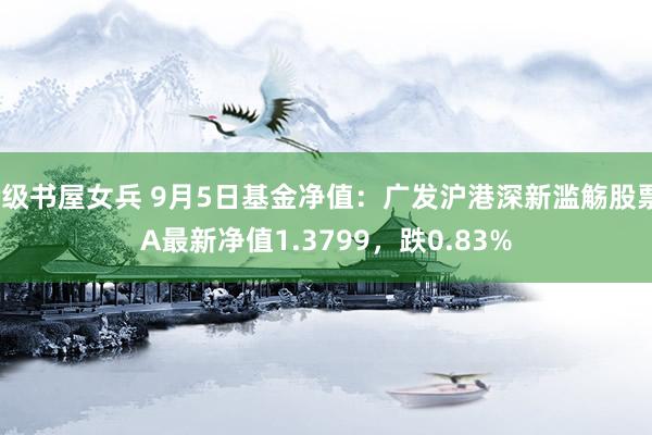 r级书屋女兵 9月5日基金净值：广发沪港深新滥觞股票A最新净值1.3799，跌0.83%