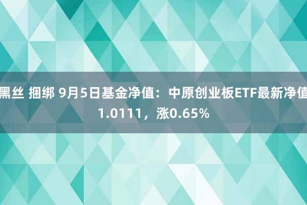 黑丝 捆绑 9月5日基金净值：中原创业板ETF最新净值1.0111，涨0.65%