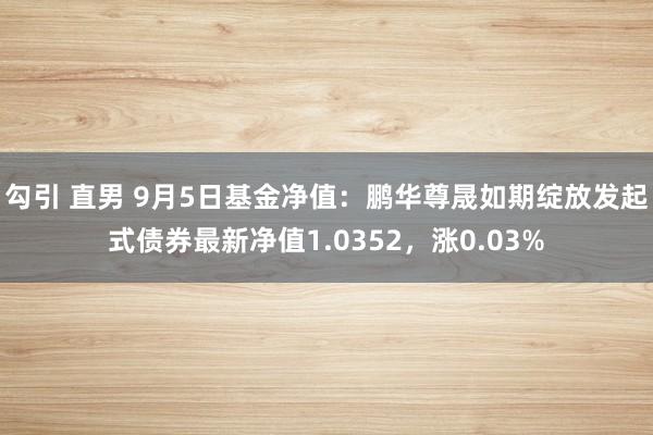 勾引 直男 9月5日基金净值：鹏华尊晟如期绽放发起式债券最新净值1.0352，涨0.03%