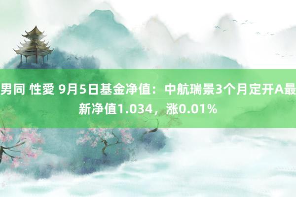 男同 性愛 9月5日基金净值：中航瑞景3个月定开A最新净值1.034，涨0.01%