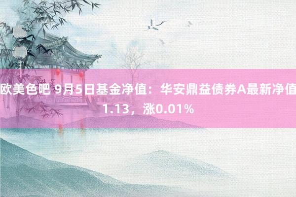 欧美色吧 9月5日基金净值：华安鼎益债券A最新净值1.13，涨0.01%