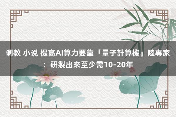 调教 小说 提高AI算力要靠「量子計算機」　陸專家：研製出來至少需10-20年