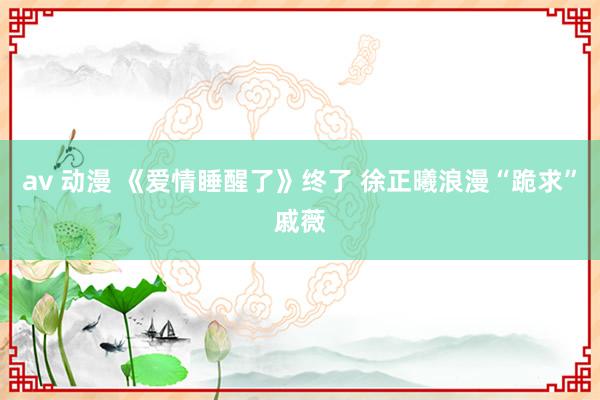 av 动漫 《爱情睡醒了》终了 徐正曦浪漫“跪求”戚薇