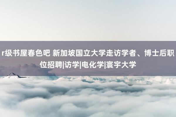 r级书屋春色吧 新加坡国立大学走访学者、博士后职位招聘|访学|电化学|寰宇大学