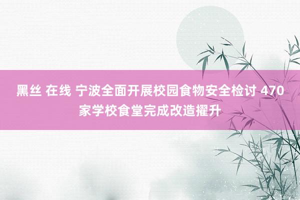 黑丝 在线 宁波全面开展校园食物安全检讨 470家学校食堂完成改造擢升